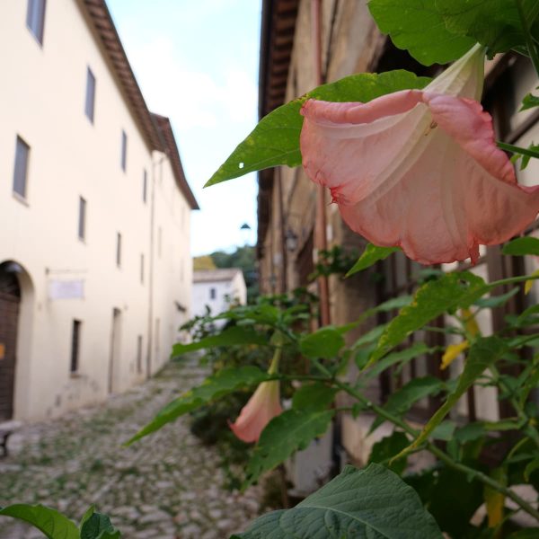 P1350137