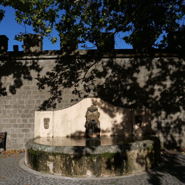 P1350566