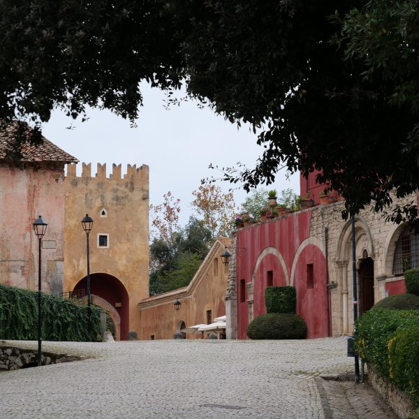 P1350898