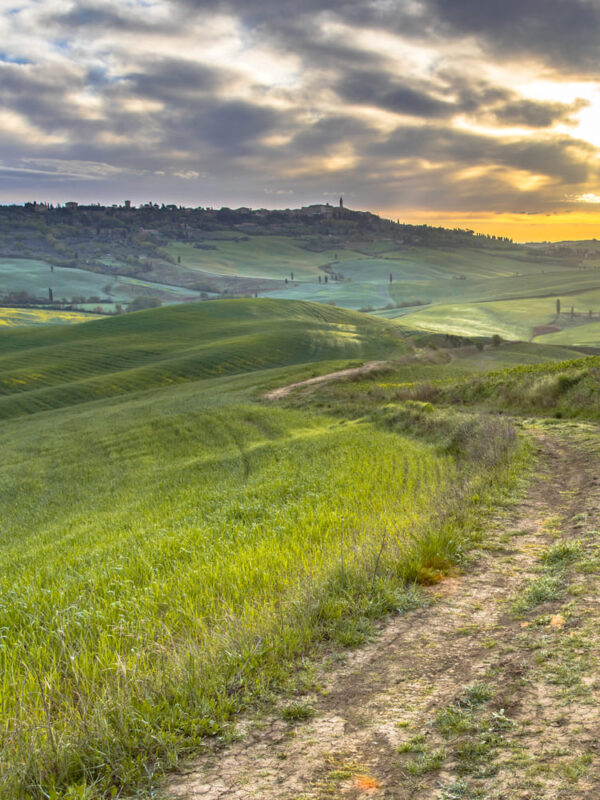 dirt-road-in-tranquil-landscape-tuscany-2022-01-28-02-32-52-utc-800x1000
